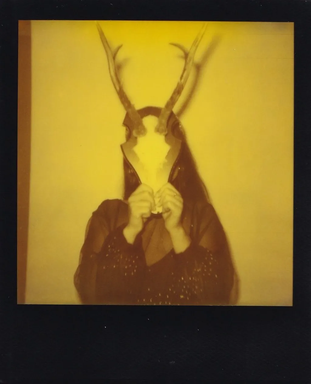 Counterpart Polaroid Project — photo 7 of 11